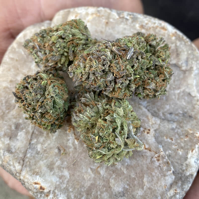 CBD business